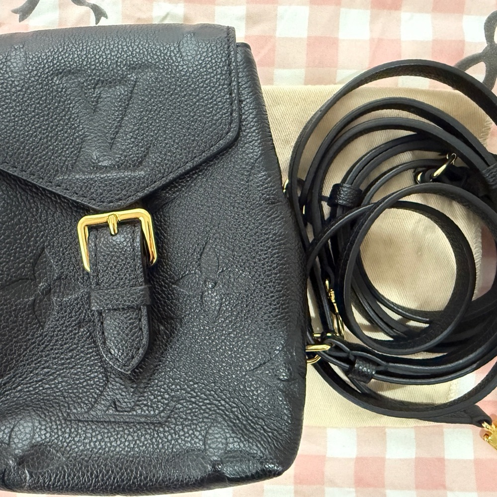 Louis Vuitton Tiny Backpack - image 1